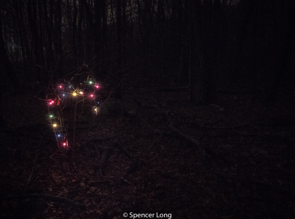 tree.lights